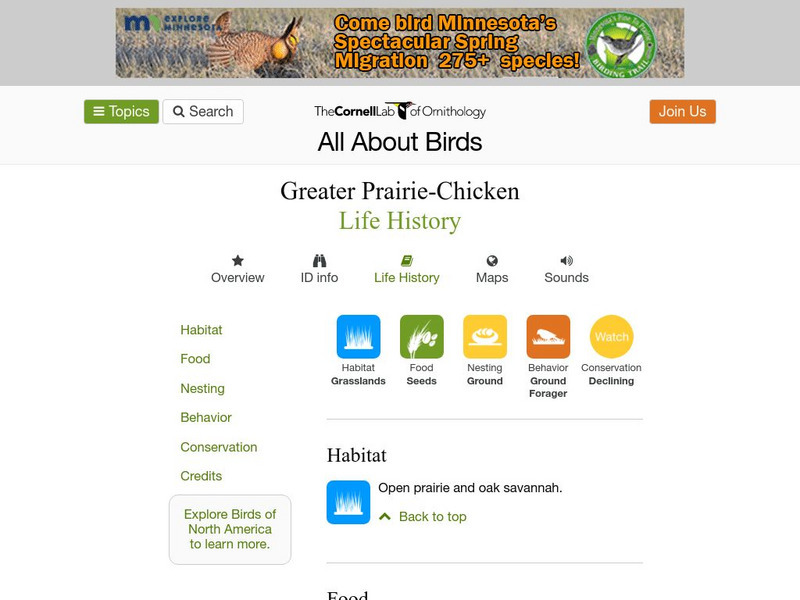 Cornell Lab of Ornithology: Greater Prairie Chicken Handout
