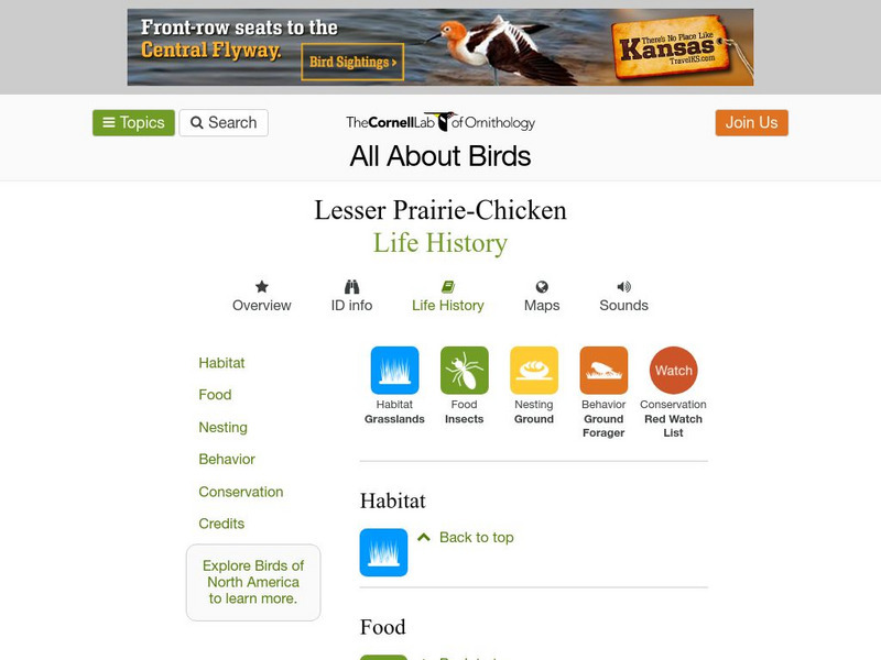 Cornell Lab of Ornithology: Lesser Prairie Chicken Handout