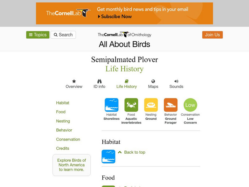 Cornell Lab of Ornithology: Semipalmated Plover Handout