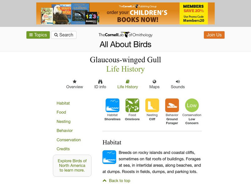 Cornell Lab of Ornithology: Glaucous Winged Gull Handout