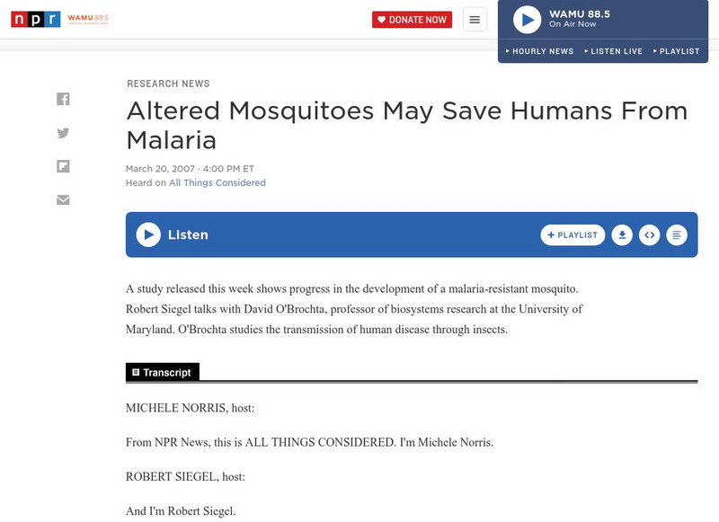 Npr: Altered Mosquitoes May Save Humans From Malaria Website Npr: Altered Mosquitoes May Save Humans From Malaria Website