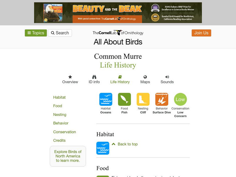 Cornell Lab of Ornithology: Common Mure Handout Cornell Lab of Ornithology: Common Mure Handout