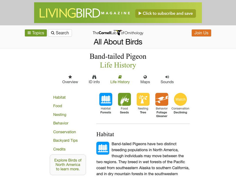 Cornell Lab of Ornithology: Band Tailed Pigeon Handout