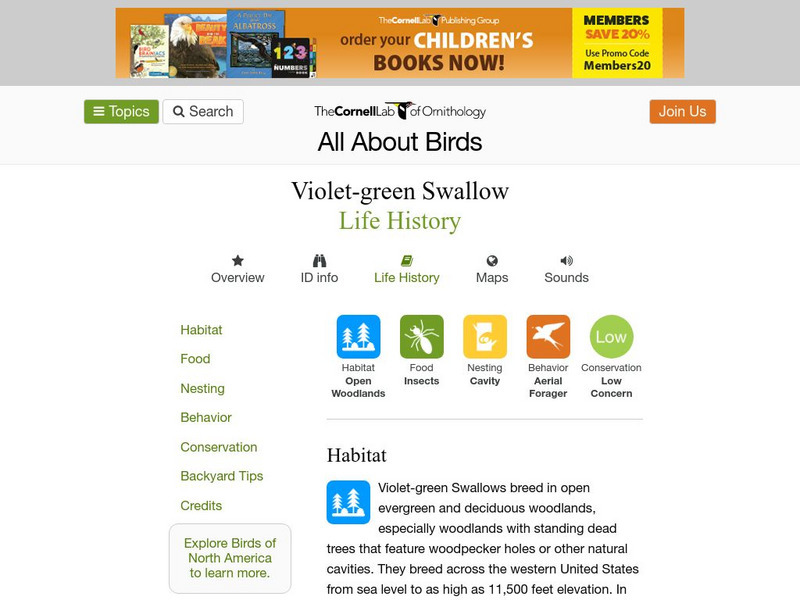 Cornell Lab of Ornithology: Violet Green Swallow Handout Cornell Lab of Ornithology: Violet Green Swallow Handout