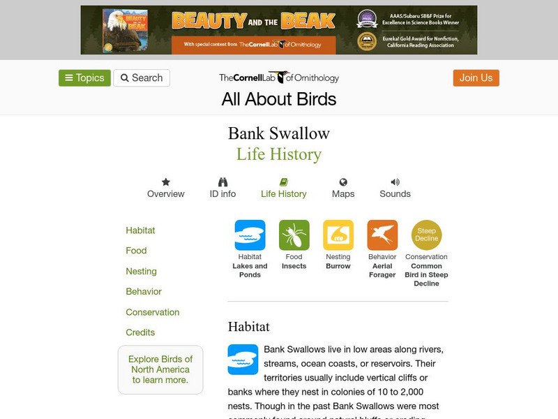 Cornell Lab of Ornithology: Bank Swallow Handout Cornell Lab of Ornithology: Bank Swallow Handout