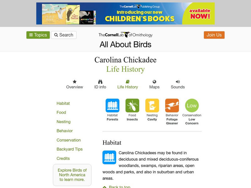 Cornell Lab of Ornithology: Carolina Chickadee Handout