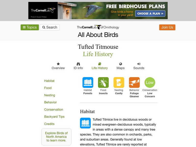 Cornell Lab of Ornithology: Tufted Titmouse Handout