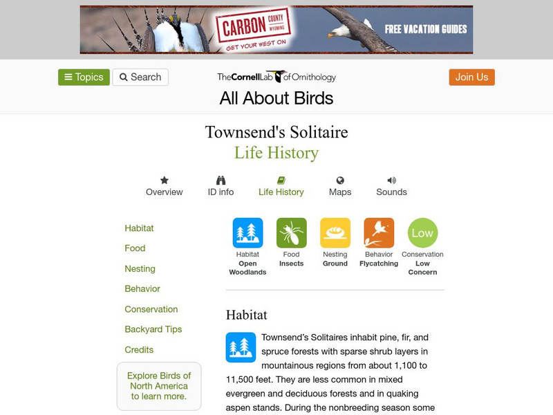 Cornell Lab of Ornithology: Townsend's Solitaire Handout