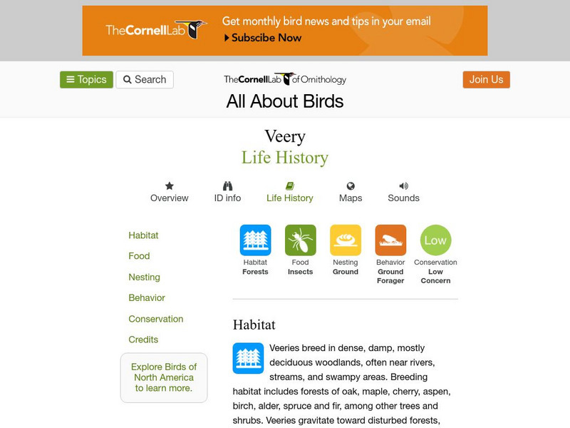 Cornell Lab of Ornithology: Veery Handout