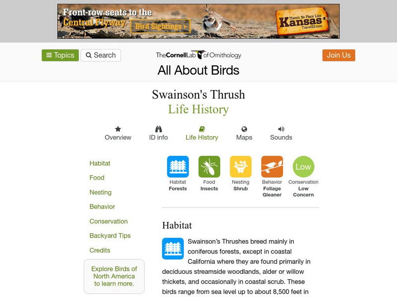 Cornell Lab of Ornithology: Swainson' S Thrush Handout Cornell Lab of Ornithology: Swainson' S Thrush Handout