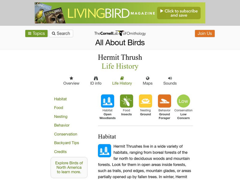 Cornell Lab of Ornithology: Hermit Thrush Handout