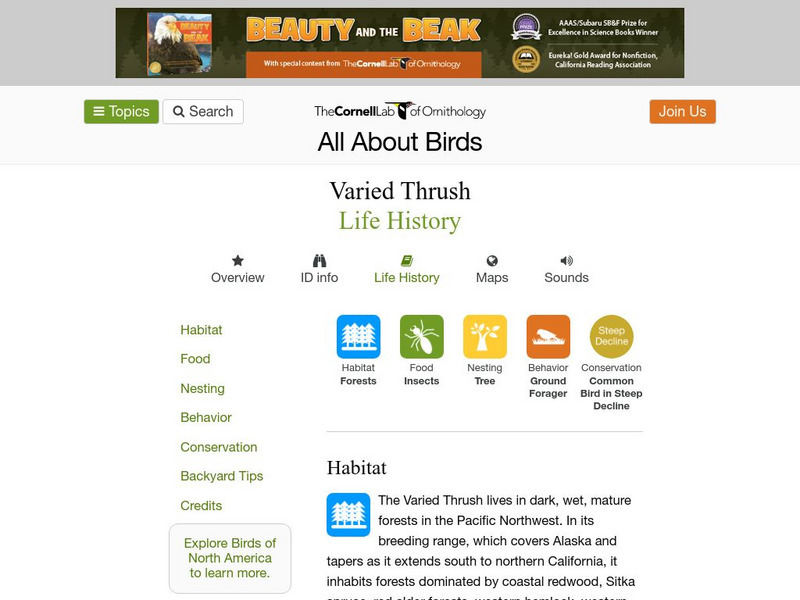 Cornell Lab of Ornithology: Varied Thrush Handout Cornell Lab of Ornithology: Varied Thrush Handout