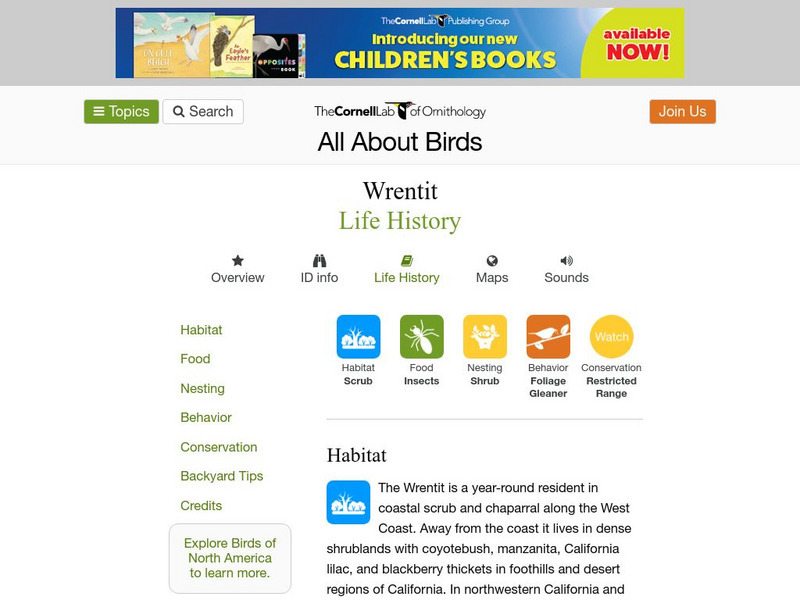 Cornell Lab of Ornithology: Wrentit Handout