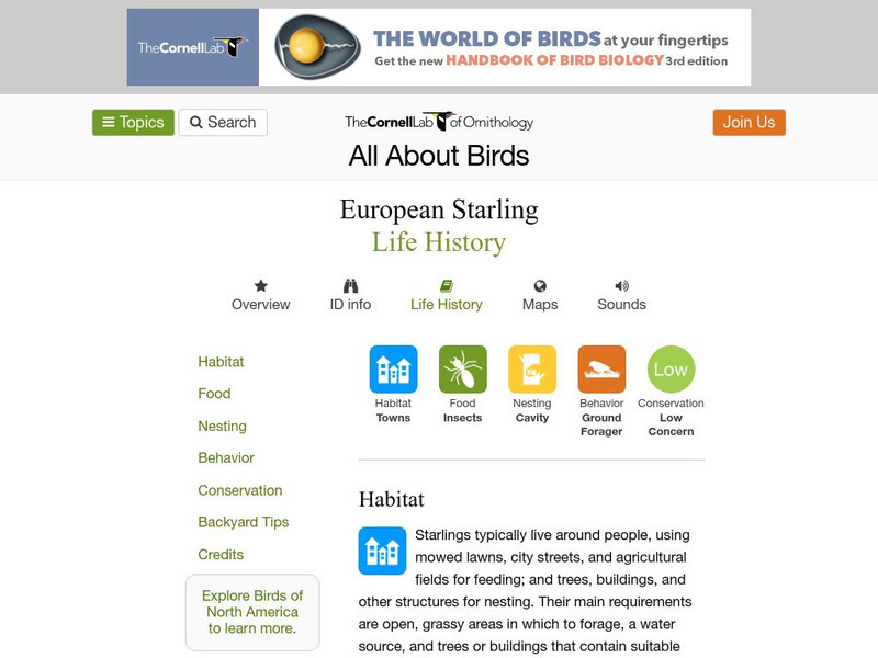 Cornell Lab of Ornithology: European Starling Handout