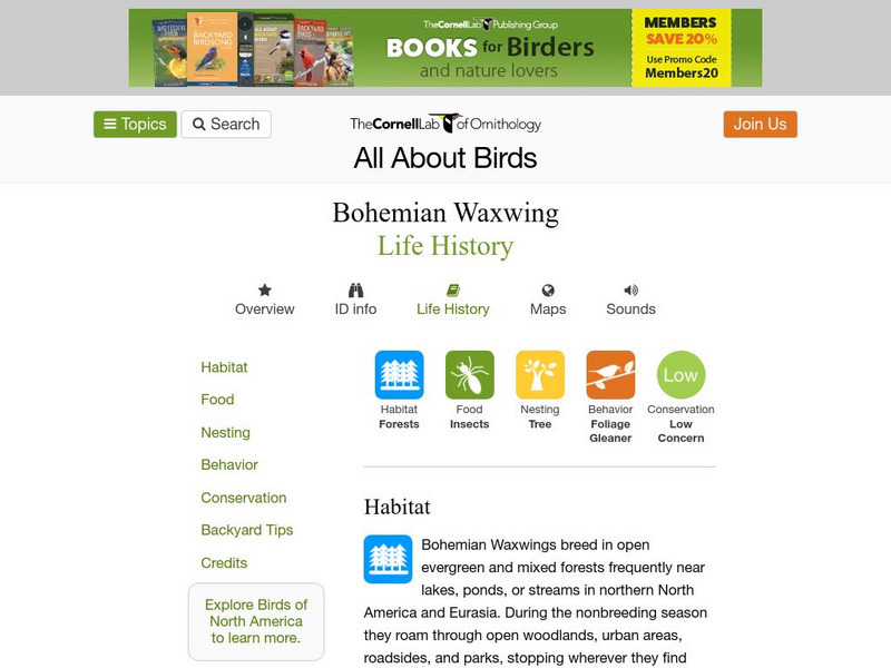 Cornell Lab of Ornithology: Bohemian Waxwing Handout Cornell Lab of Ornithology: Bohemian Waxwing Handout