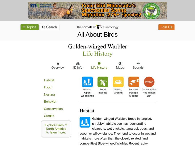 Cornell Lab of Ornithology: Golden Winged Warbler Handout Cornell Lab of Ornithology: Golden Winged Warbler Handout