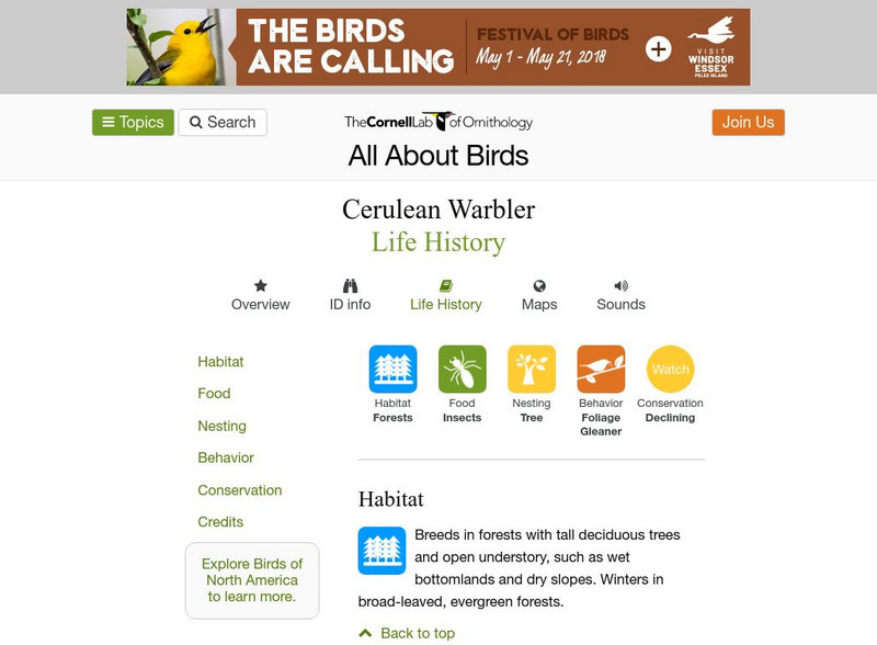 Cornell Lab of Ornithology: Cerulean Warbler Handout