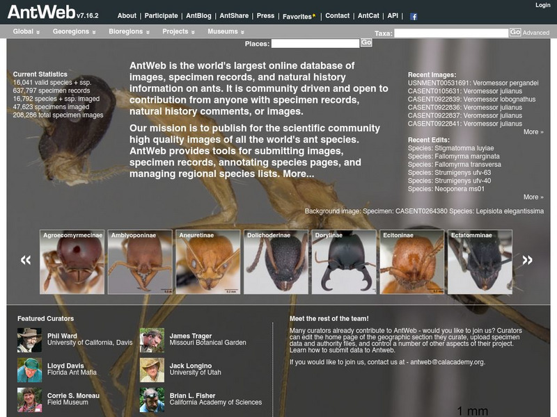 California Academy of Sciences: Ant Web Website