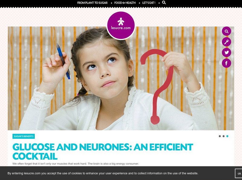 Centre for Sugar Research and Information: Sugar on the Web Unit Plan Centre for Sugar Research and Information: Sugar on the Web Unit Plan