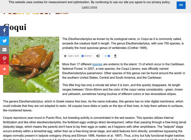 Welcome to Puerto Rico: The Coqui Activity Welcome to Puerto Rico: The Coqui Activity