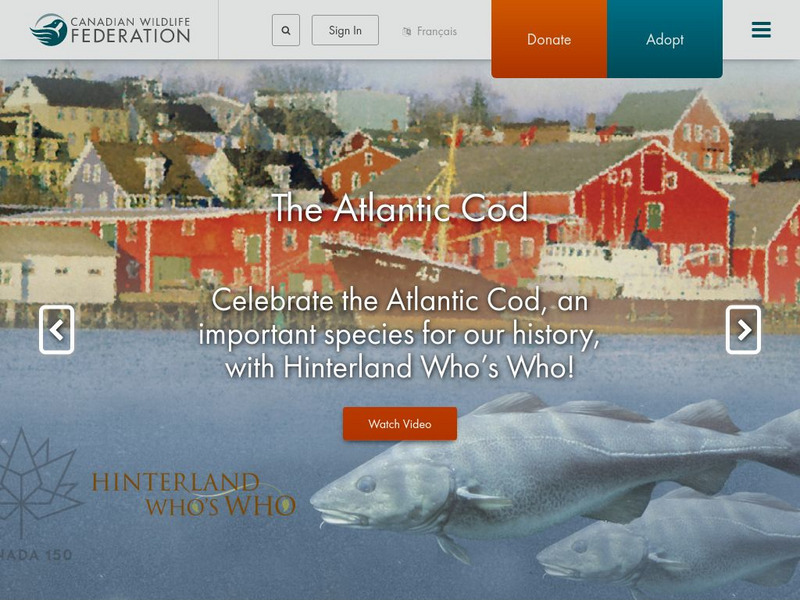 Canadian Wildlife Federation Website