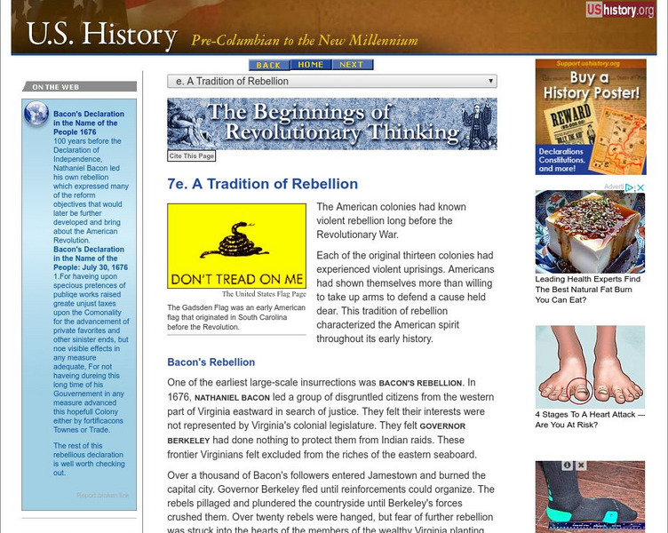 U.s. History: Beginnings of Revolutionary Thinking: A Tradition of Rebellion Website U.s. History: Beginnings of Revolutionary Thinking: A Tradition of Rebellion Website
