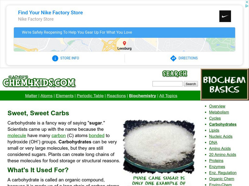 Chem4 Kids: Sweet Sweet Carbs Handout Chem4 Kids: Sweet Sweet Carbs Handout