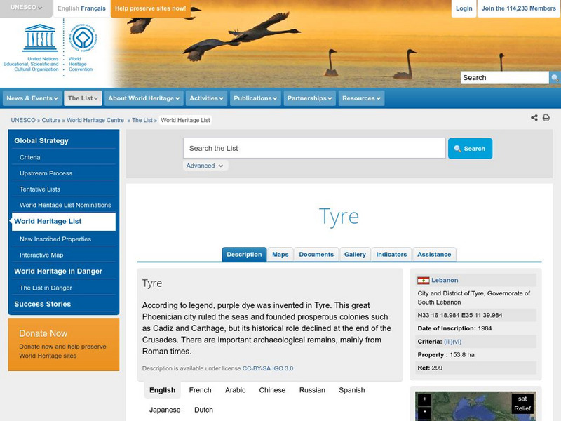 Unesco: World Heritage: Tyre Graphic Unesco: World Heritage: Tyre Graphic