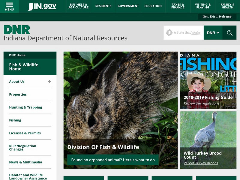 Indiana.gov: Indiana State Division of Fish and Wildlife Website Indiana.gov: Indiana State Division of Fish and Wildlife Website
