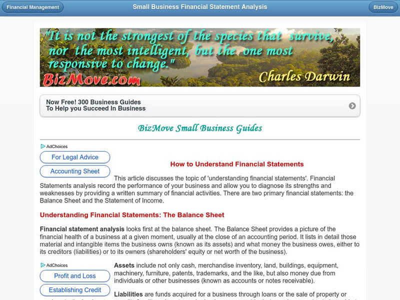 Biz Move: Understanding Financial Statements Website Biz Move: Understanding Financial Statements Website