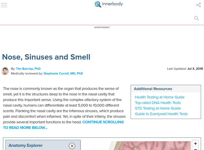 Innerbody: Nasal Passages Interactive Innerbody: Nasal Passages Interactive