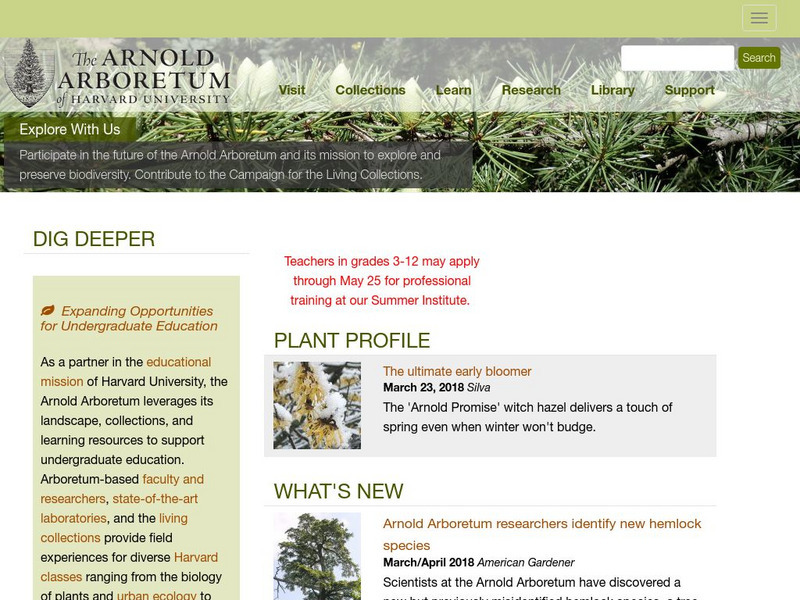 The Arnold Arboretum of Harvard University Website The Arnold Arboretum of Harvard University Website