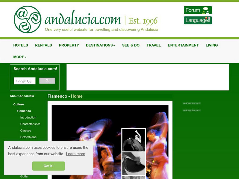 Flamenco From Andalusia Article Flamenco From Andalusia Article