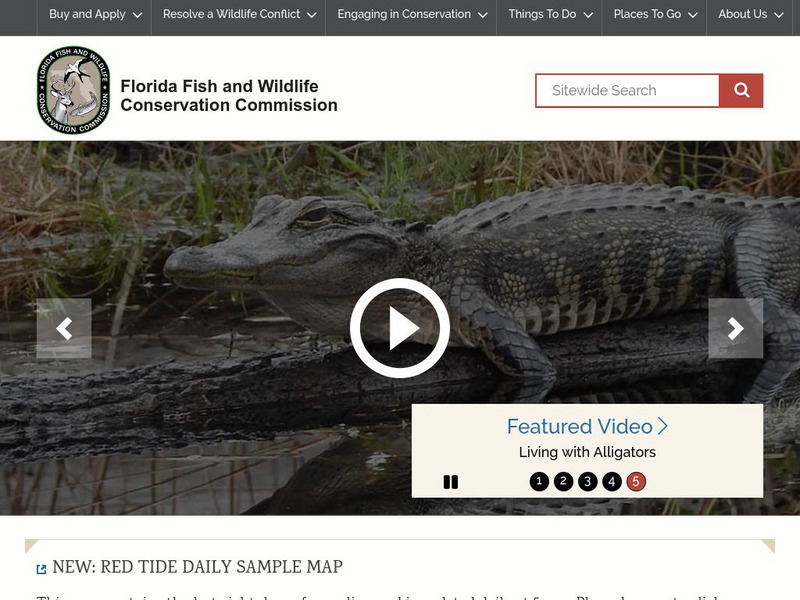 Florida Fish and Wildlife: Headlines Website Florida Fish and Wildlife: Headlines Website