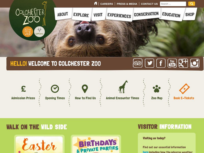Colchester Zoo, England Website Colchester Zoo, England Website