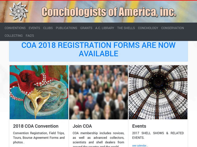 Conchologists of America: What Is a Shell? Handout Conchologists of America: What Is a Shell? Handout