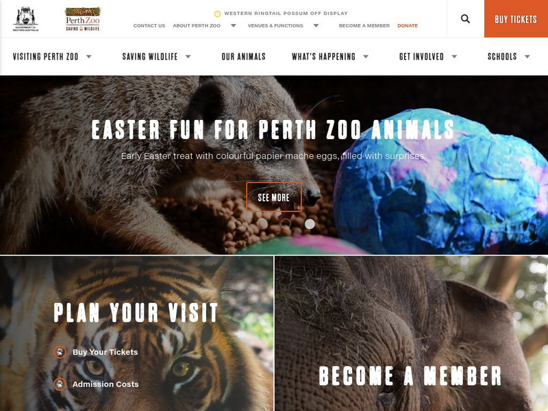 Perth Zoo Website Perth Zoo Website