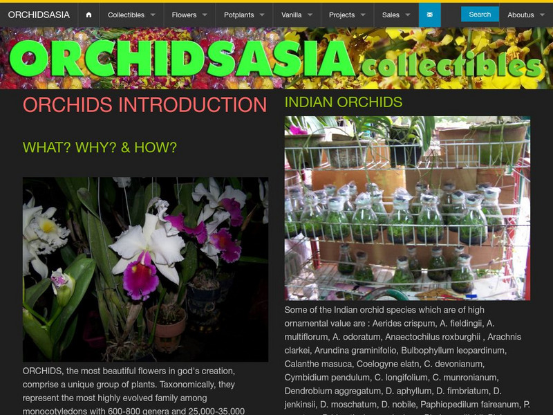 Orchids Asia: Introduction to Orchids Handout Orchids Asia: Introduction to Orchids Handout