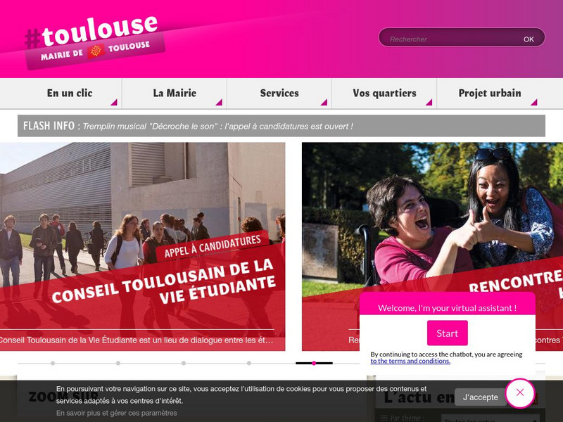Toulouse Website