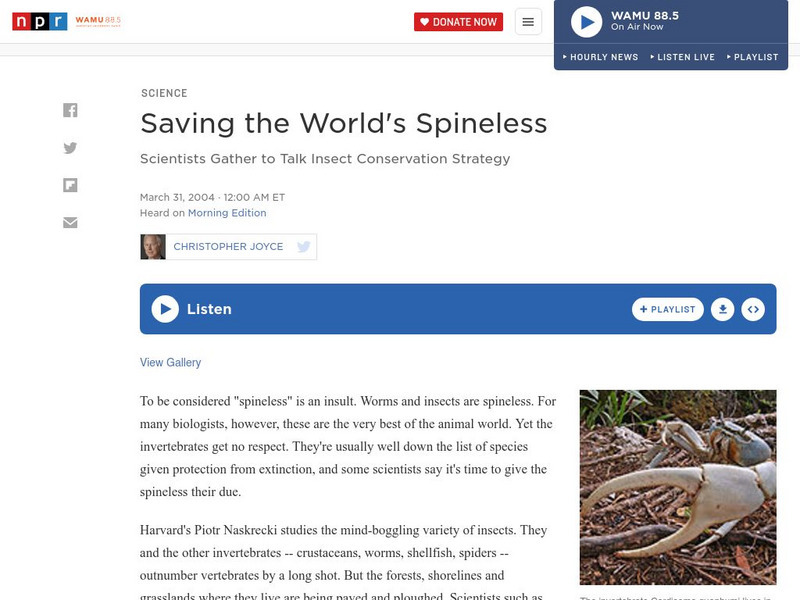 Npr: Saving the World's Spineless Audio Npr: Saving the World's Spineless Audio