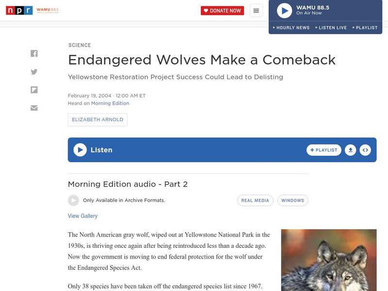 Npr: Endangered Wolves Make a Comeback Audio Npr: Endangered Wolves Make a Comeback Audio
