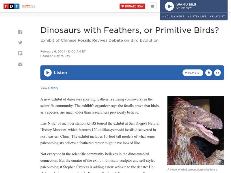 Npr: Dinosaurs With Feathers, or Primitive Birds? Audio Npr: Dinosaurs With Feathers, or Primitive Birds? Audio