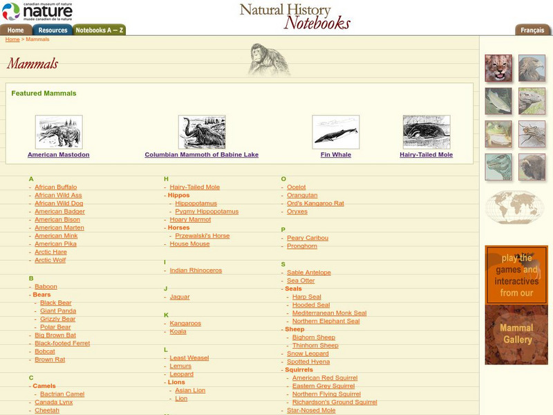 Canadian Museum of Nature: Mammals Website
