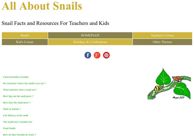 Kiddy house.com: All About Snails Lesson Plan