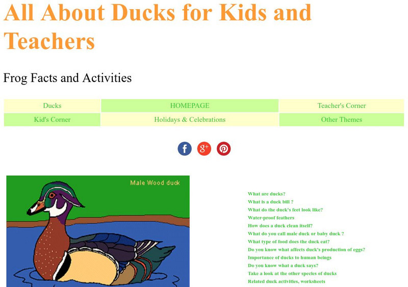 Kiddyhouse.com: Ducks for Kids and Teachers Activity Kiddyhouse.com: Ducks for Kids and Teachers Activity