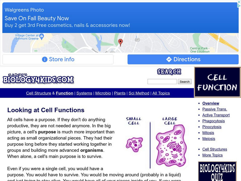 Biology4 Kids: Cell Function Handout Biology4 Kids: Cell Function Handout