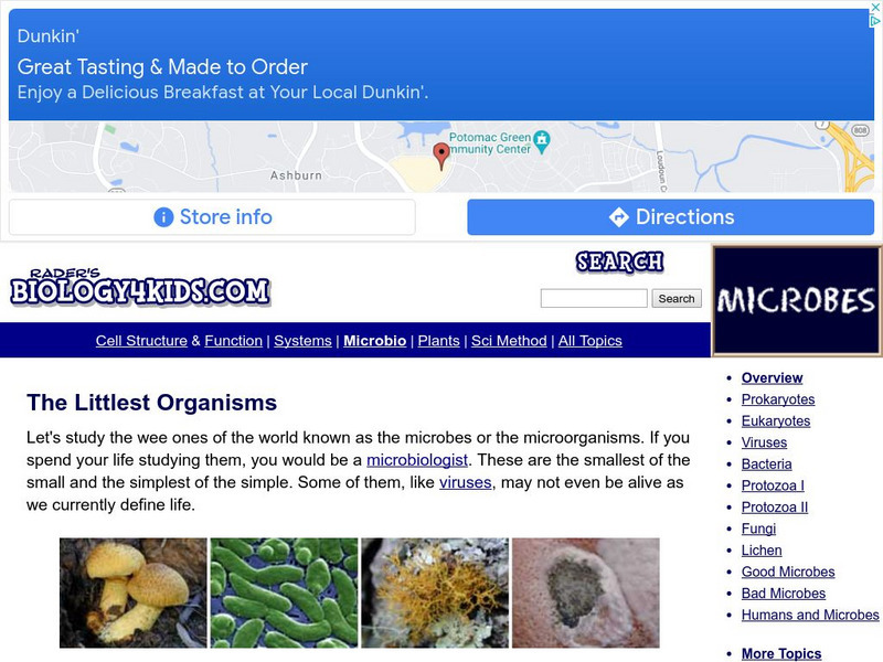 Biology4 Kids: Microorganisms Handout Biology4 Kids: Microorganisms Handout