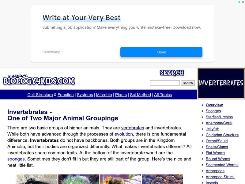 Biology4 Kids: Invertebrates Handout Biology4 Kids: Invertebrates Handout