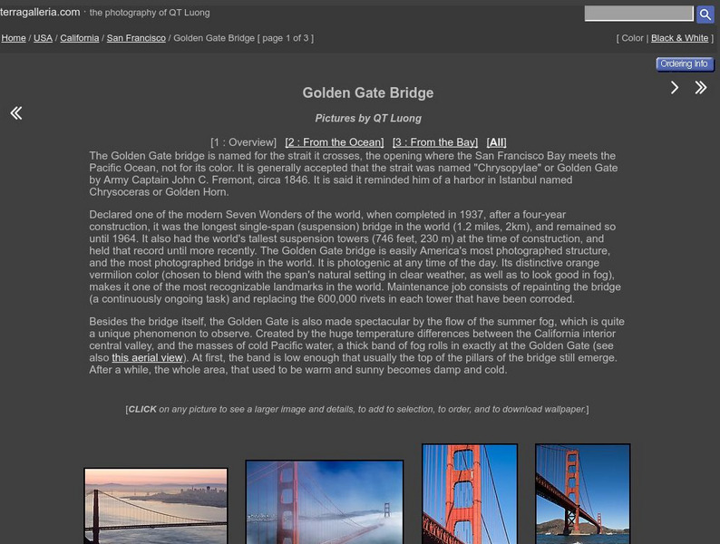 Terragalleria: Golden Gate Bridge Graphic Terragalleria: Golden Gate Bridge Graphic