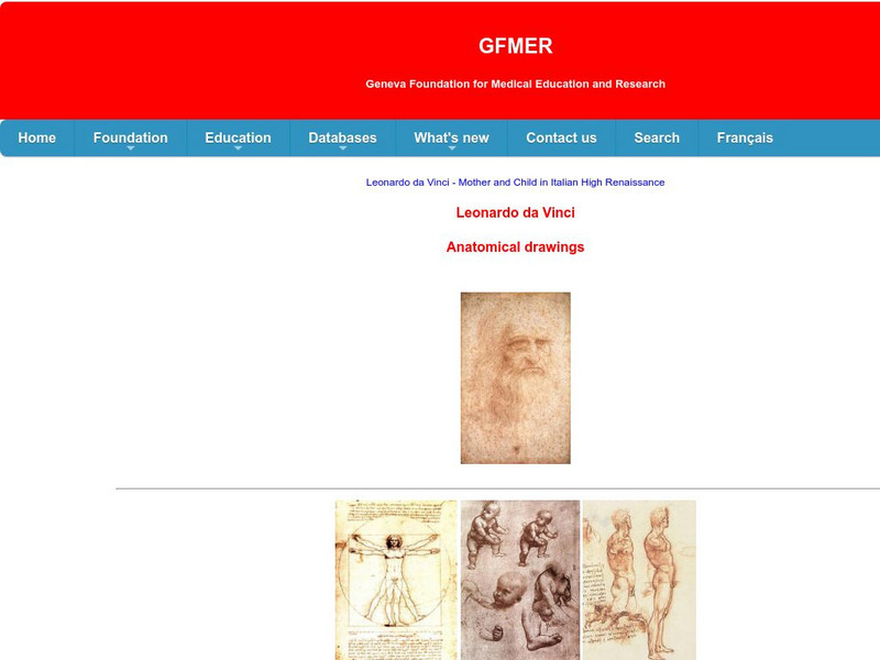 Da Vinci's Anatomical Drawings Graphic Da Vinci's Anatomical Drawings Graphic
